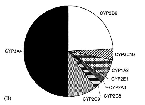 cypchart.jpg