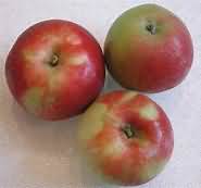 Apples, cooking, raw, flesh only, weighed with skin and core