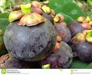 Apricots, raw, flesh and skin