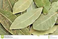 Bay leaf, dried
