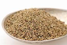 Celery seeds