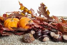 Chestnuts, dried
