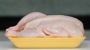 Chicken, light meat, raw