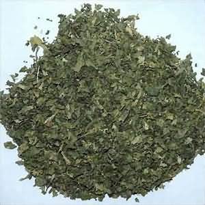 Coriander leaves, dried