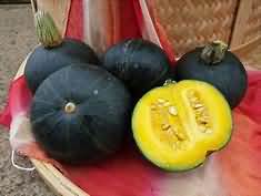 Damsons, flesh and skin, raw, weighed with stones