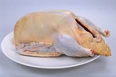 Duck, meat only, raw