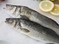 Fatty fish