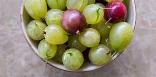 Gooseberries, cooking, raw