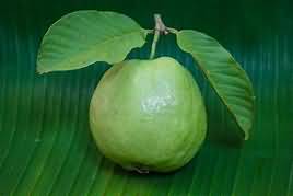 Guava, flesh only, raw