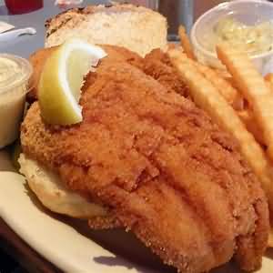 Haddock, fillets, flesh only, in flour, fried in dripping