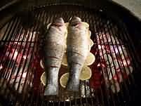 Halibut, grilled, weighed with bones and skin