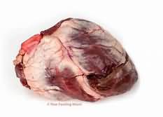 Heart, lamb, raw