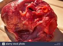 Heart, pig, raw