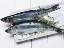 Herring, flesh only, raw