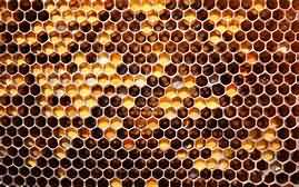 Honey and comb
