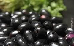 Jam, fruit with edible seeds