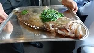 John Dory, raw