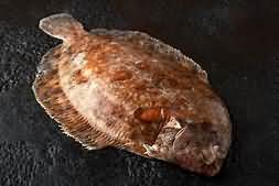 Lemon sole, flesh only, raw