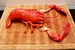Lobster, boiled, weighed with shell