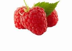 Loganberries, raw