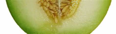 Melon, Honeydew, flesh only, weighed whole