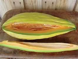 Melon, flesh only, average, weighed whole