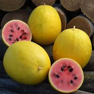 Melon, flesh only, average