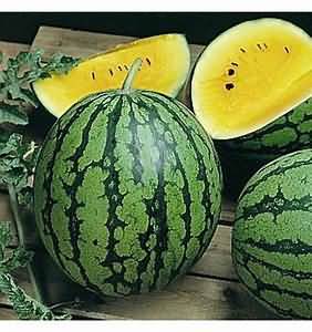 Melon, yellow flesh, flesh only