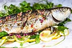 Mullet, Grey, flesh only, grilled