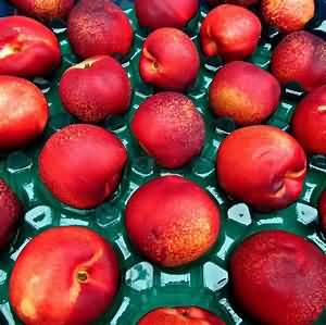 Nectarines, flesh and skin, weighed with stones
