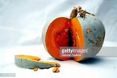 Oranges, flesh only