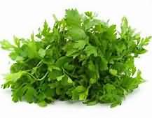 Parsley, fresh