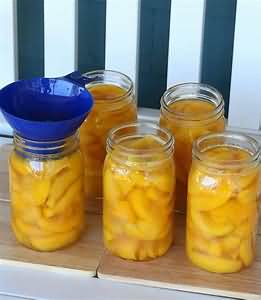 Peaches, canned in syrup, whole contents