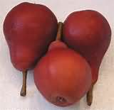 Pears, raw, flesh only, peeled, weighed with skin and core