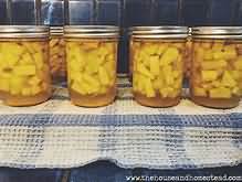 Pineapple, canned in syrup, whole contents
