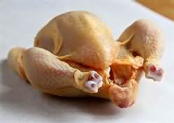 Poussin, raw, meat and skin