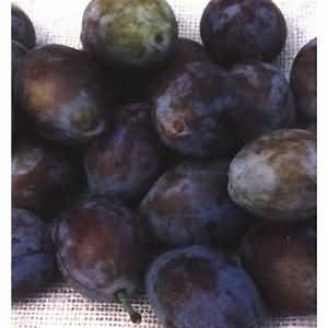Prunes, flesh and skin