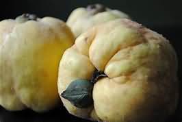 Quinces, flesh only