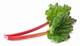 Rhubarb, stems only, stewed with sugar