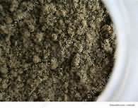Sage, dried, ground
