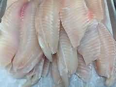 Salmon, farmed, flesh only, steamed