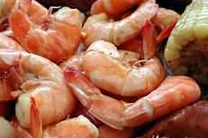 Shrimps, boiled