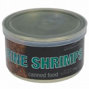 Shrimps, canned in brine, drained