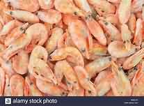 Shrimps, frozen