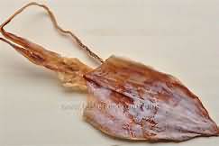 Squid, dried