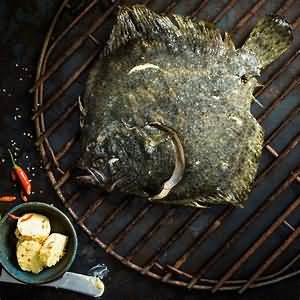 Turbot, flesh only, grilled
