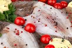 Turbot, flesh only, raw