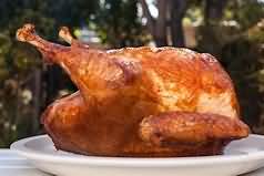 Turkey, skin, dry, roasted