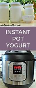 Yogurt, whole milk, twin pot, thick and creamy with fruit