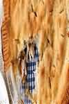 Apples, cooking, baked without sugar, flesh only